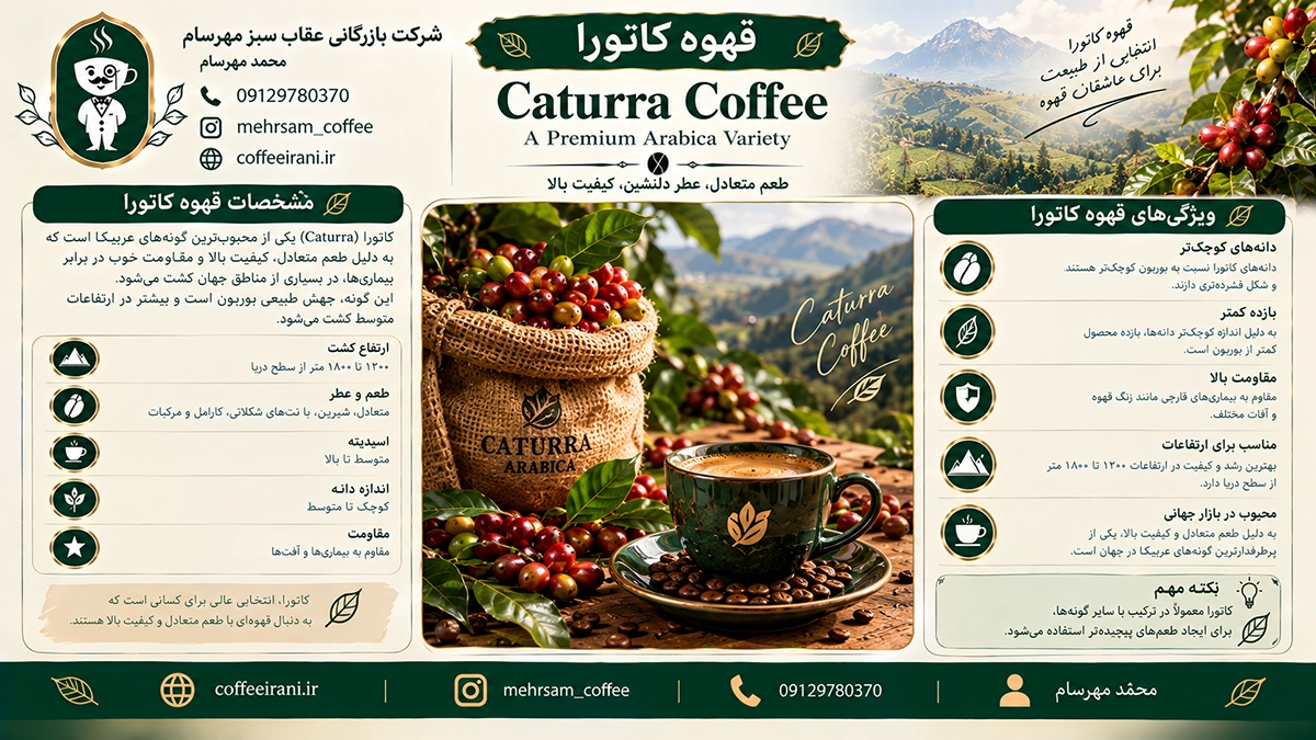 قهوه کاتورا و مشخصات آن