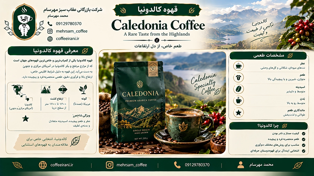 قهوه کالدونیا جز گرانترین قهوه جهان