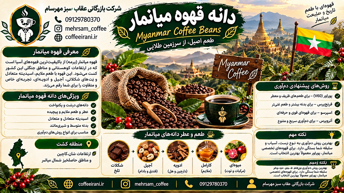 دانه قهوه میانمار و مشخصات آن
