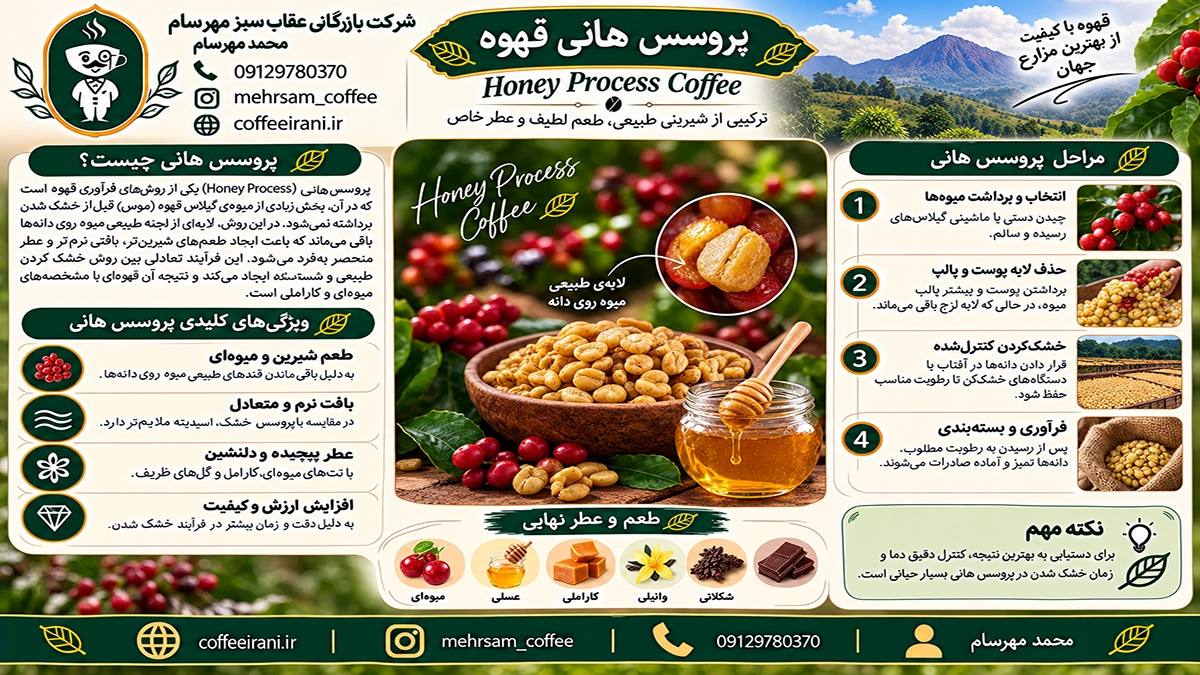 پروسس هانی قهوه | همه چیز درباره فرآوری عسل‌مانند و طعم خاص آن