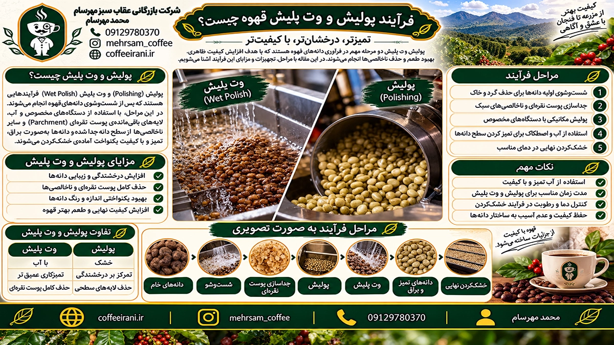 فرآیند پولیش و وت‌پلیش قهوه چیست؟ بررسی علمی اثر پرداخت دانه بر طعم، رست و کیفیت نهایی