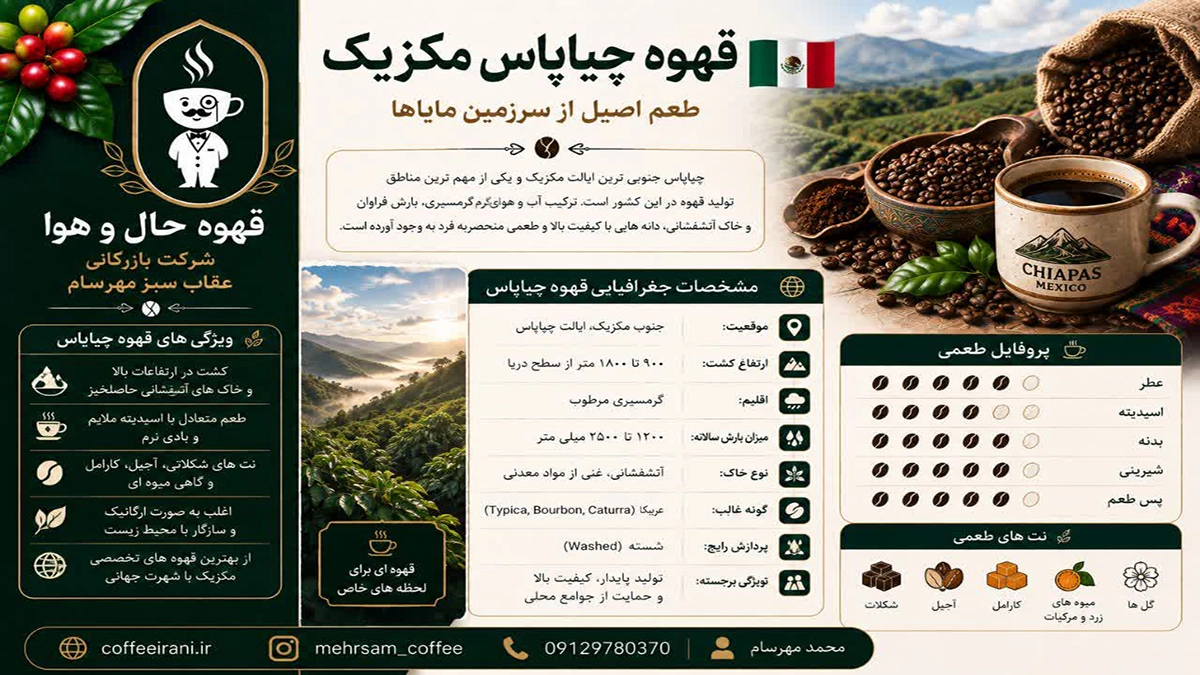 قهوه چیاپاس مکزیک یک قهوه عربیکا مرغوب