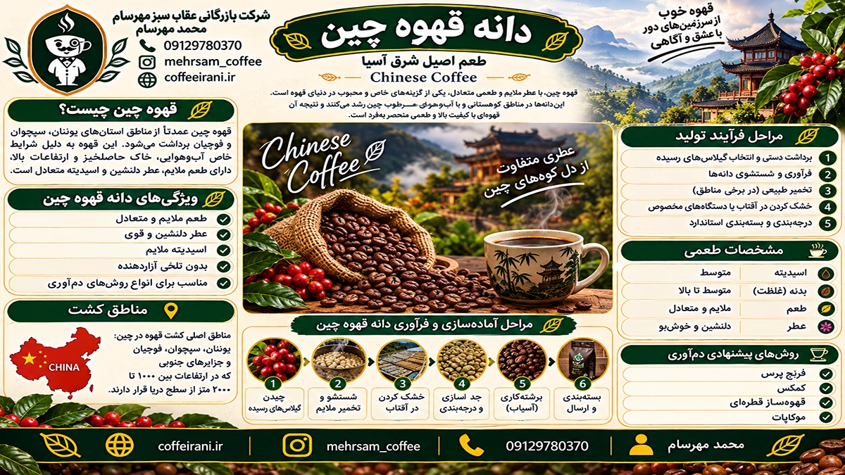 دانه قهوه چین ؛ آشنایی با انواع آن