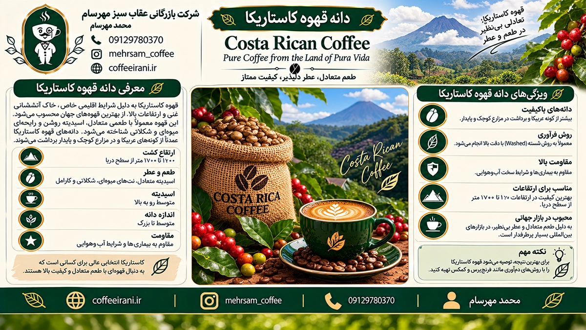 دانه قهوه کاستاریکا
